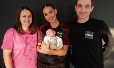 Carnet rose: Un nouveau dans la maison, bienvenue au petit Hugo