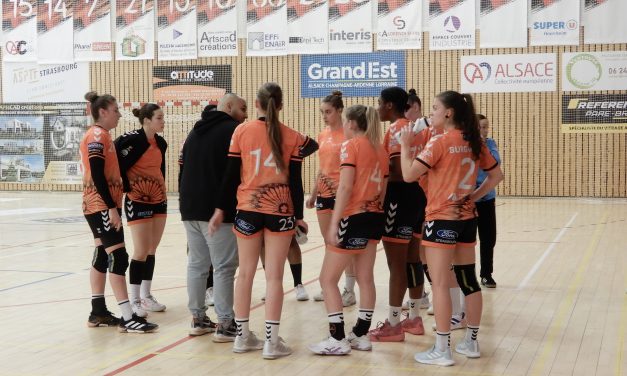 Des mots, des photos… (1er décembre 2024)