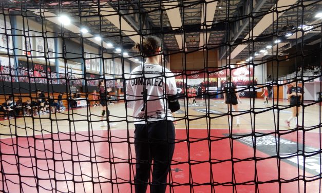 Des mots, des photos… (janvier 2025)