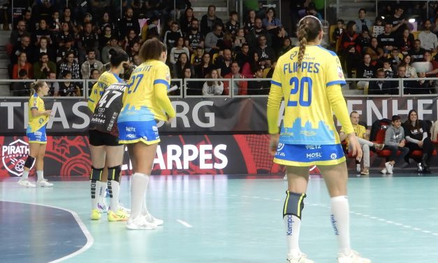 Laura Flippes Un grand bonheur à venir