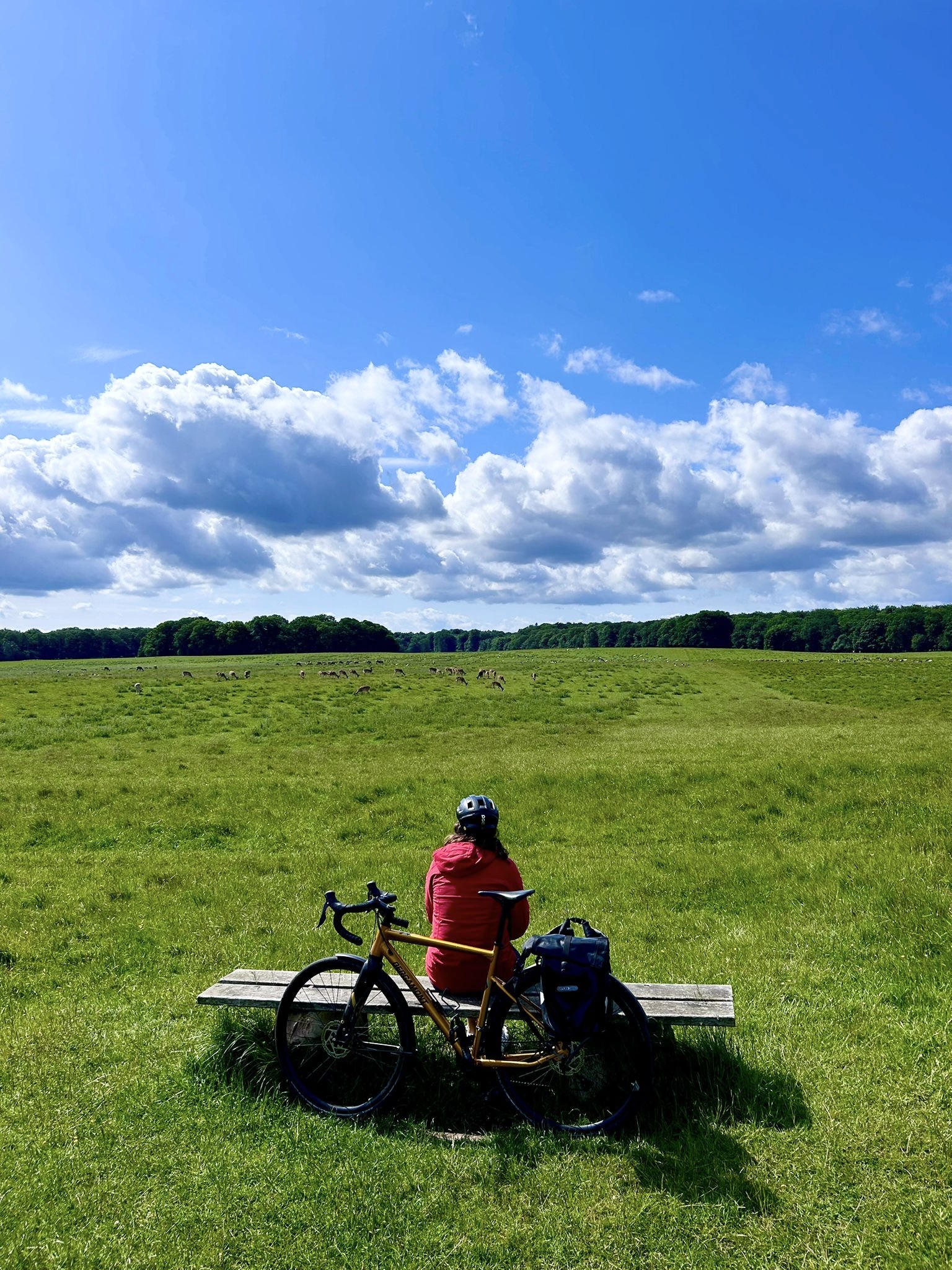 Voyage en van sur handbelles.fr Voyage en van sur handbelles.fr<br />