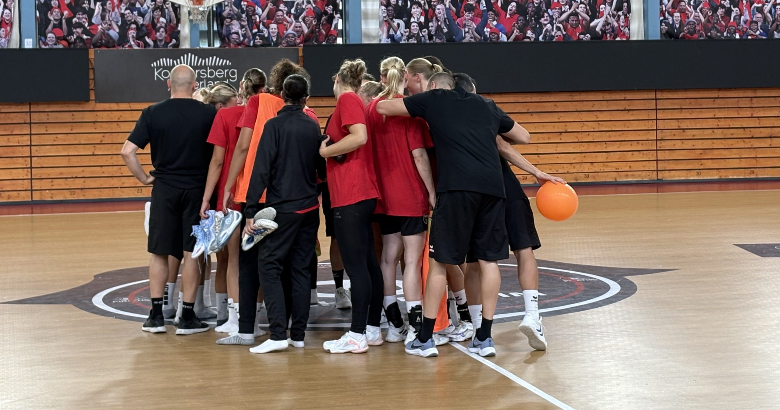 Handball D1 Reprise des “Piraths” du Strasbourg ATH Handball D1 Reprise des “Piraths” du Strasbourg ATH