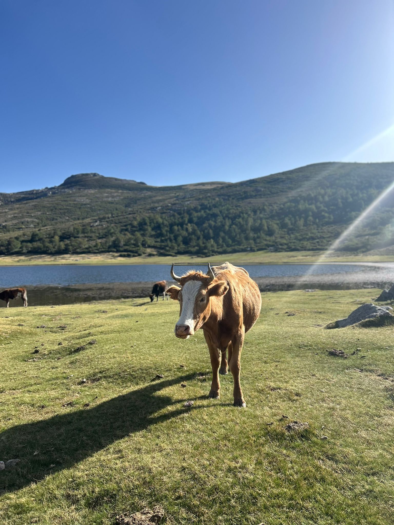 Voyage en van sur handbelles.fr avec Axelle Florentin et Valentin Clauss. GR20 Corse<br />
