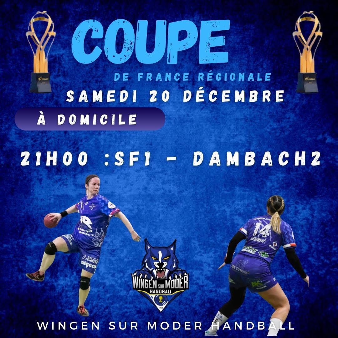 Handball féminin Coupe de France Wingen-sur-Moder sur handbelles.fr<br />
