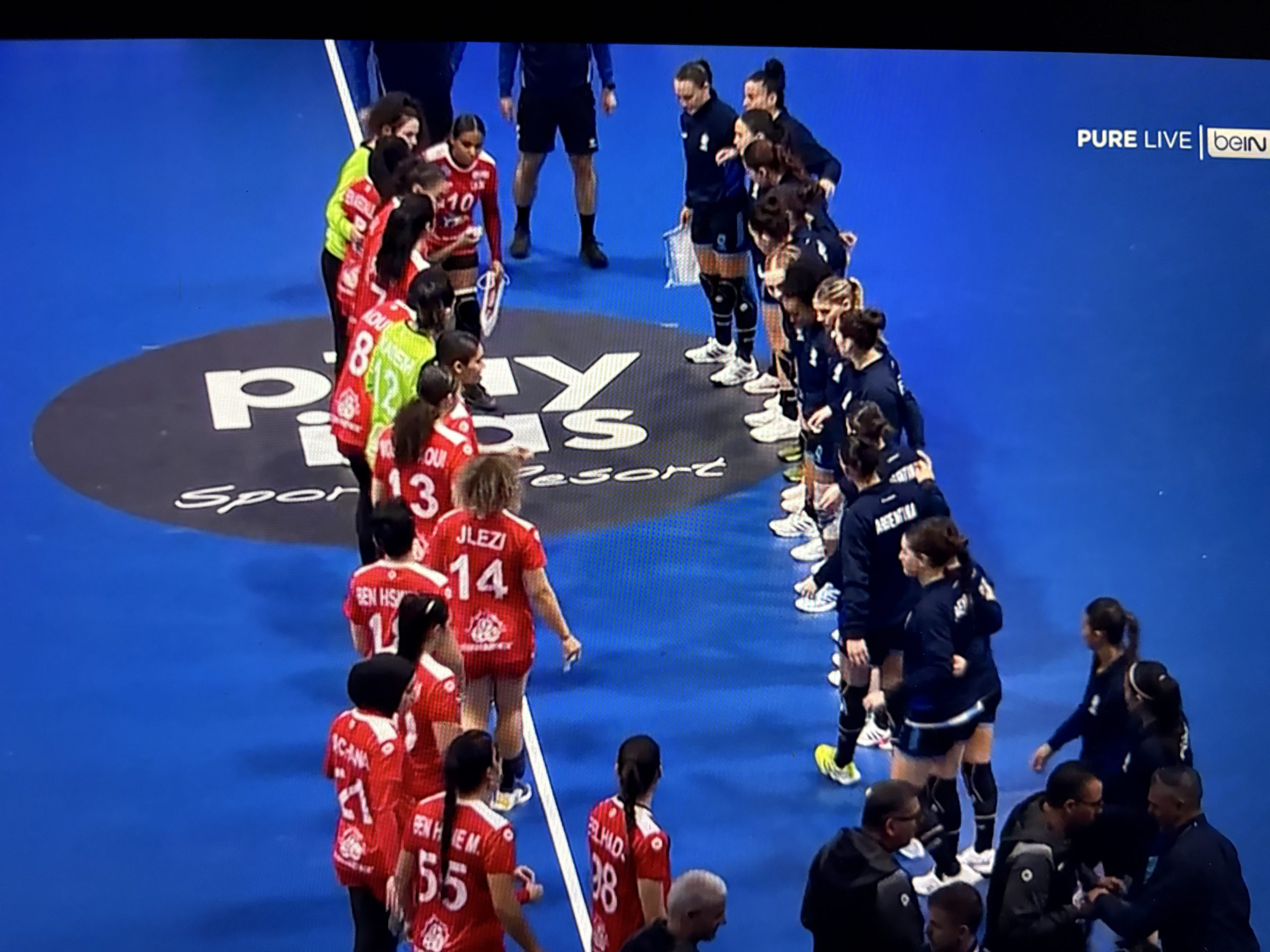Yosr Mostefaoui, handball Tunisie, Mondial, Strasbourg ATH sur handbelles.fr<br />
