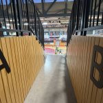 Les 10 éclairages (Journée 13)