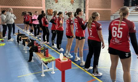 Le programme du week-end (24/25 janvier 2026)