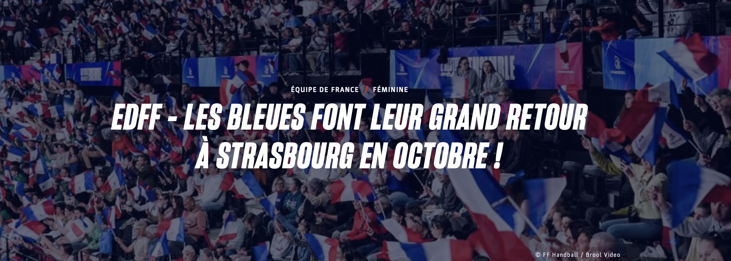 Équipe de France de handball à Strasbourg Rhenus sur handbelles.fr