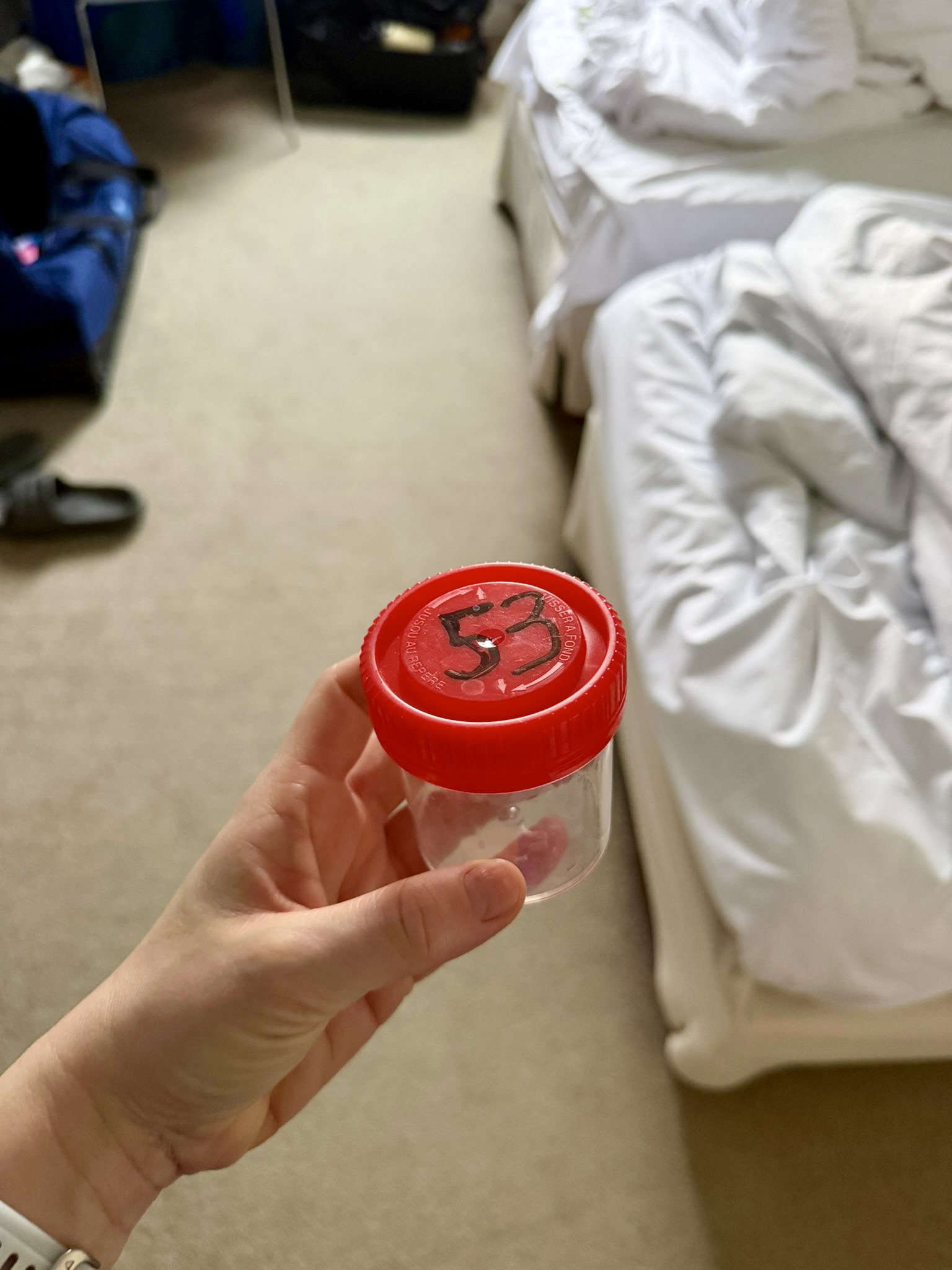 Léa Fargues Piraths Strasbourg ATH en équipe de France de handball sur handbelles.fr