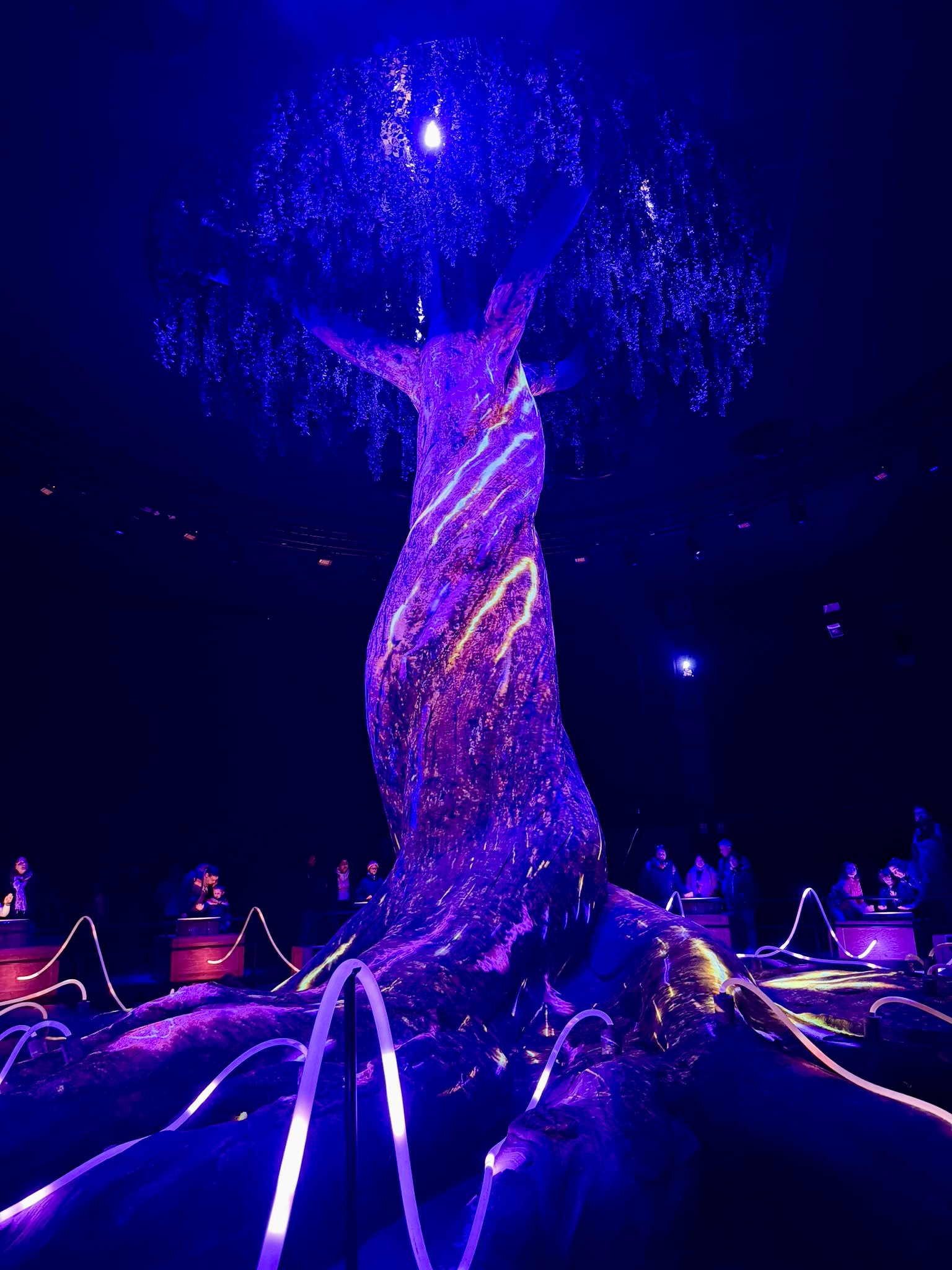 Léa Fargues Piraths Strasbourg ATH en équipe de France de handball sur handbelles.fr