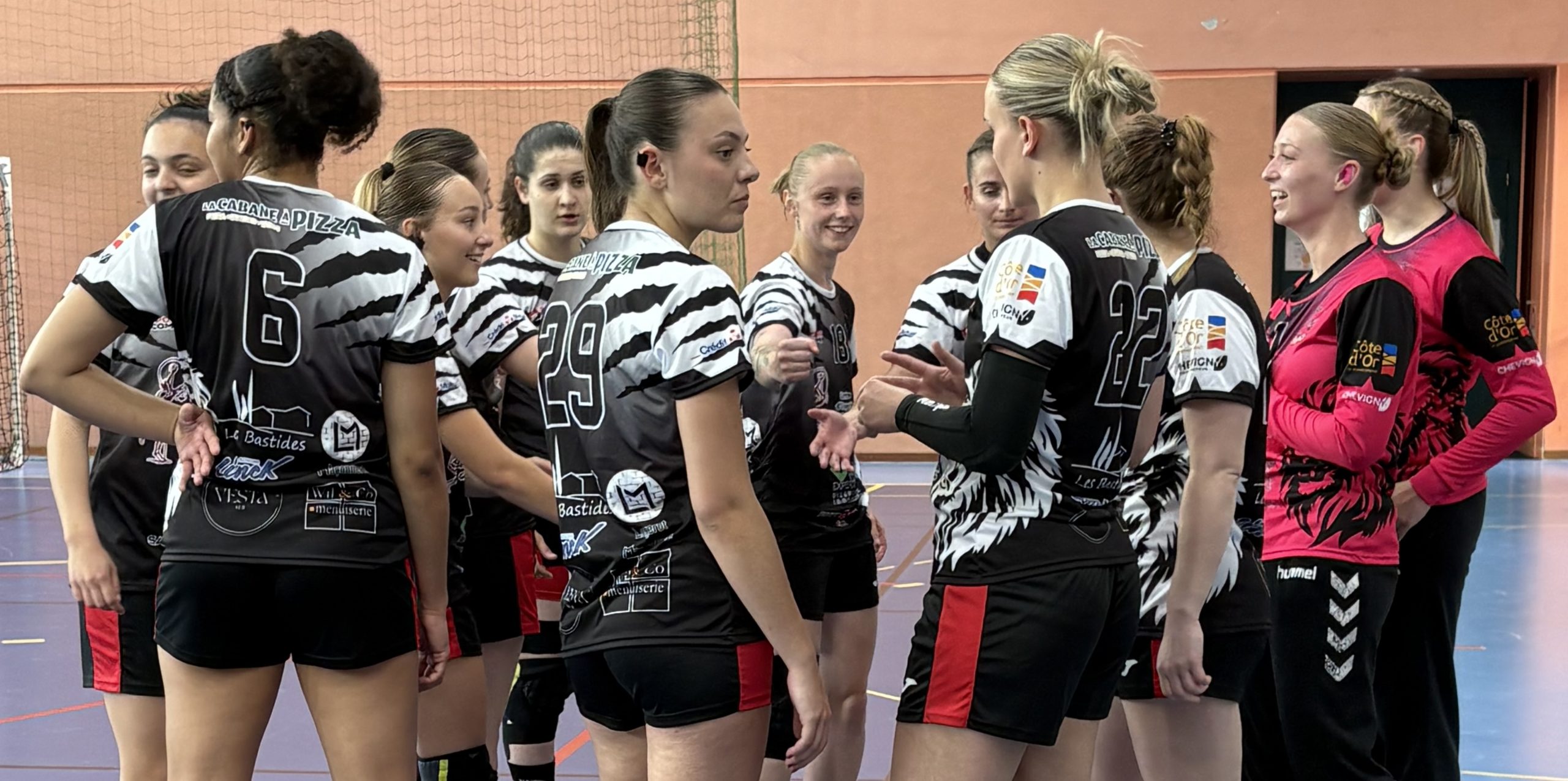 Anaëlle Wagner handball Chevigny sur handbelles.fr
