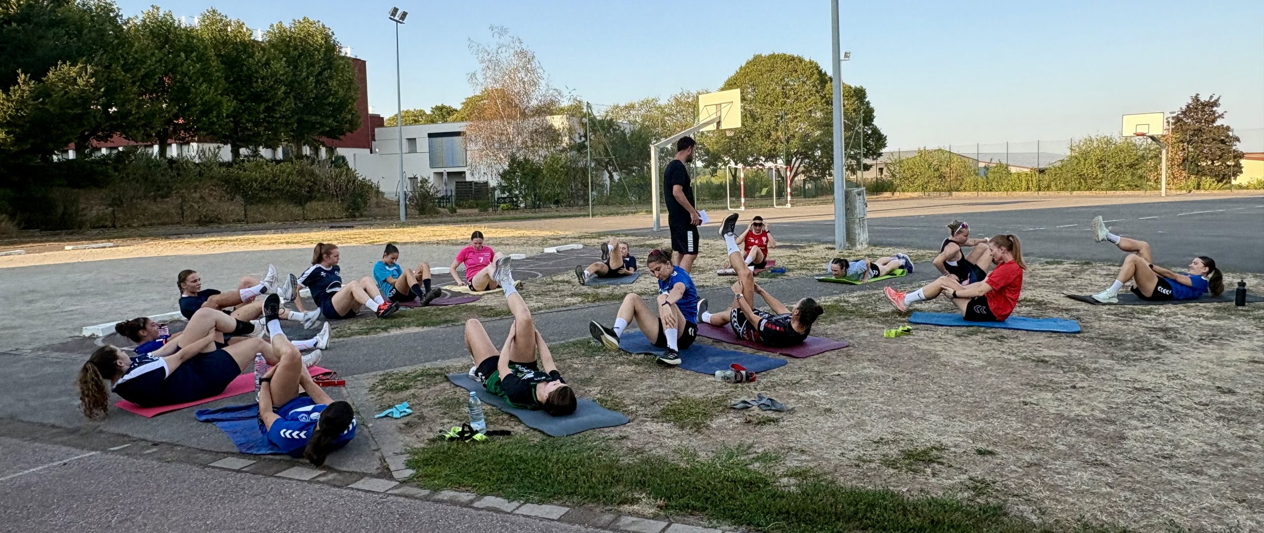 Dambach handball sur handbelles.fr