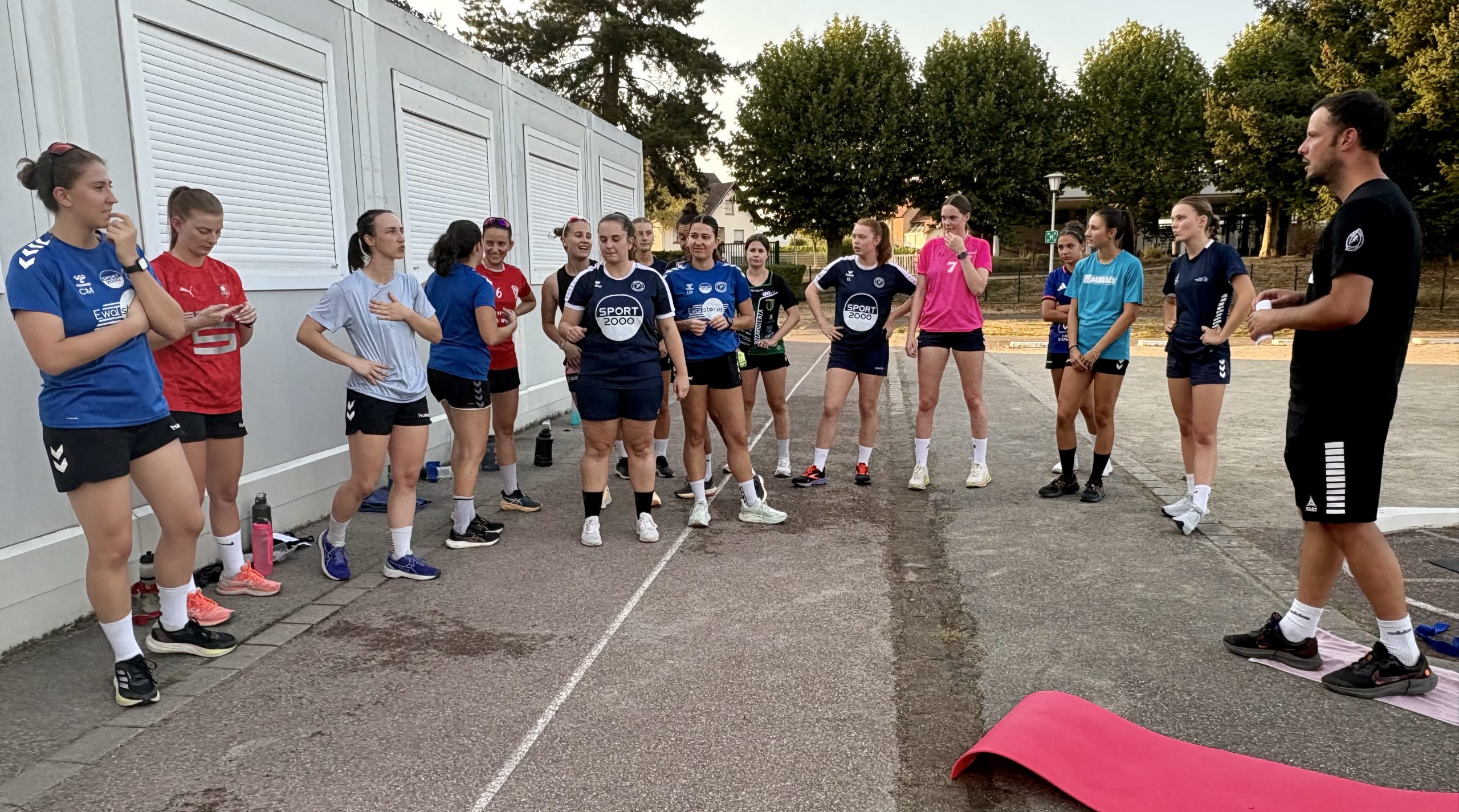 Dambach handball sur handbelles.fr