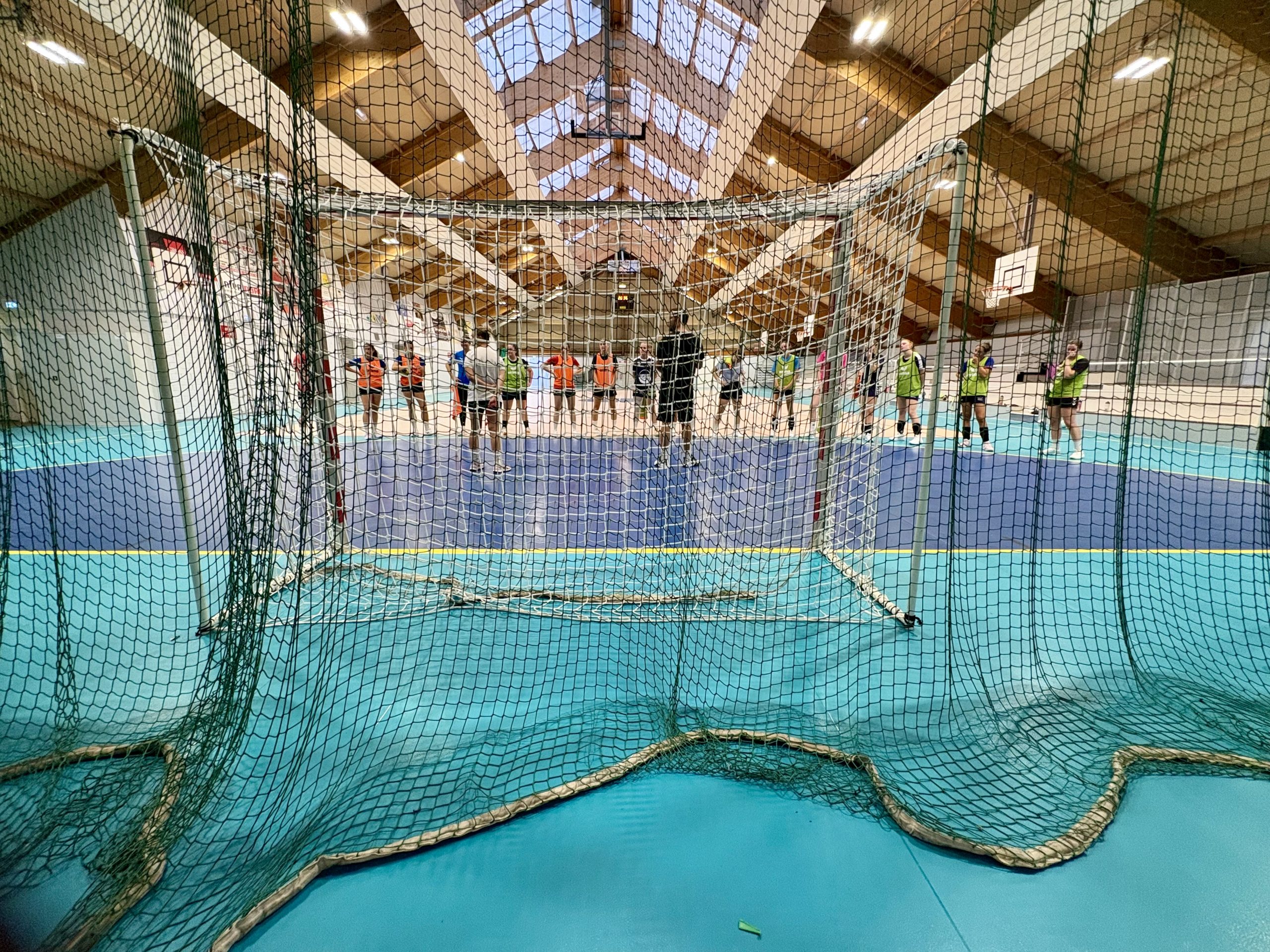 Dambach handball sur handbelles.fr