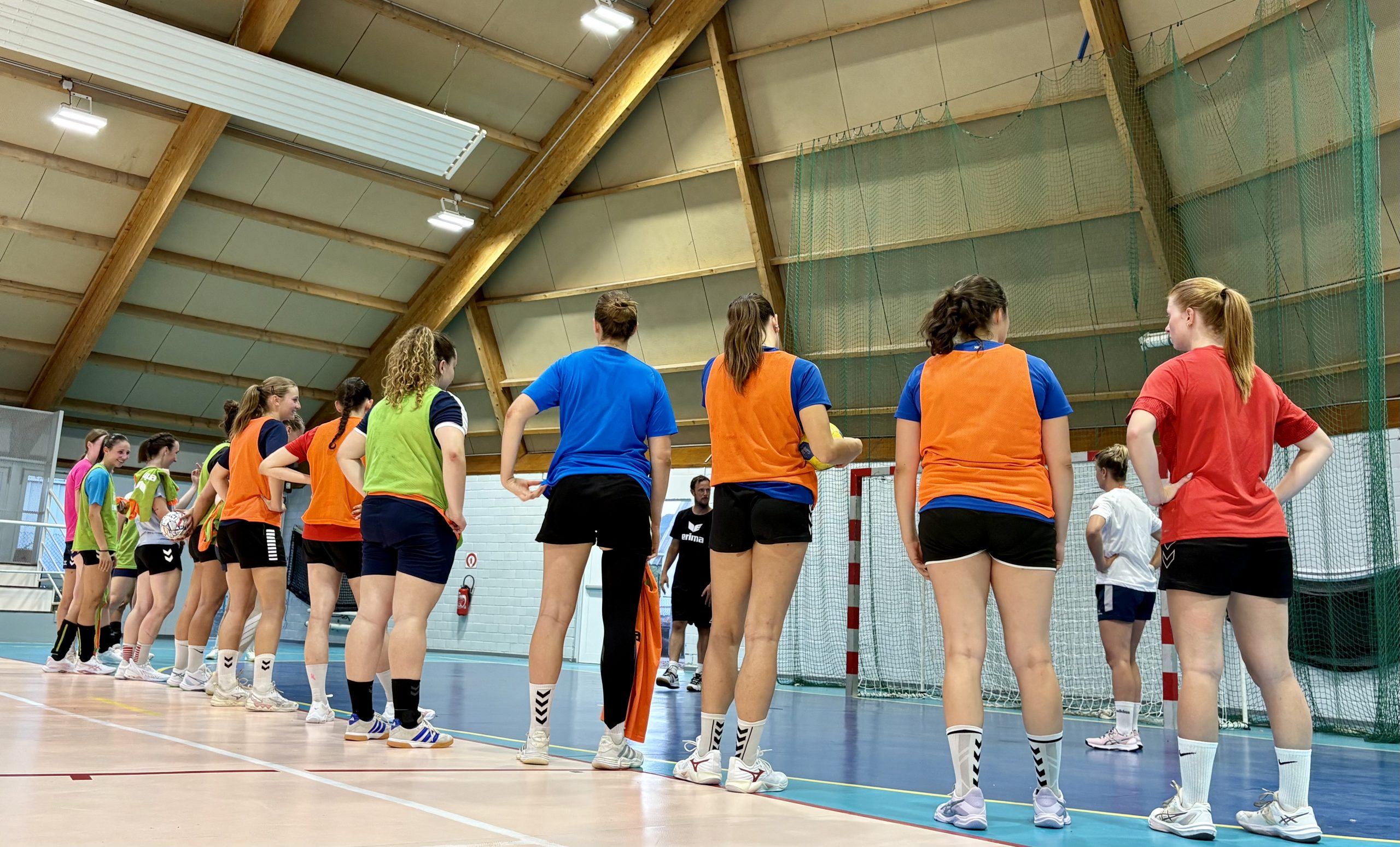 Dambach handball sur handbelles.fr