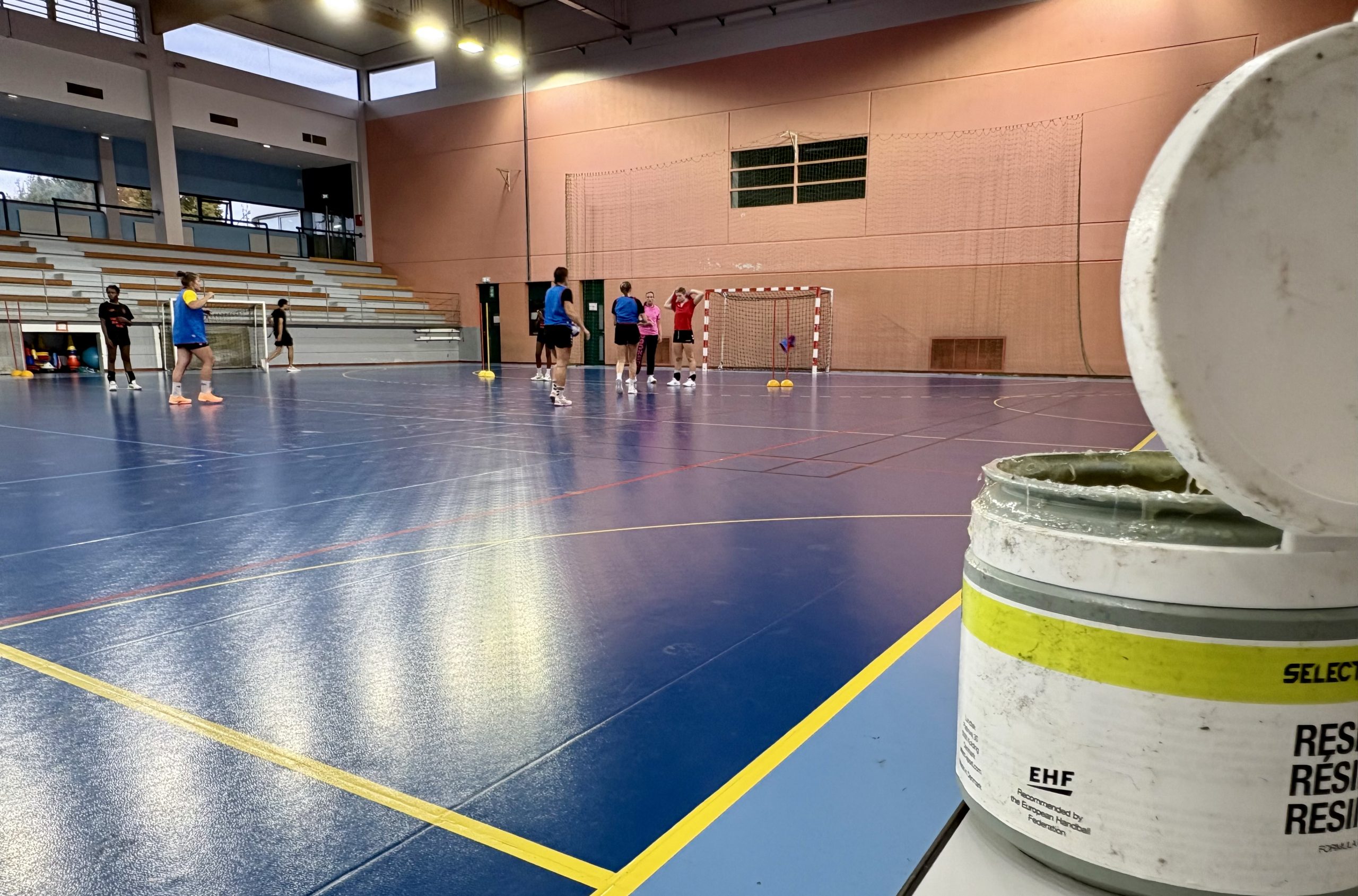 Reichstett handball sur handbelles.fr