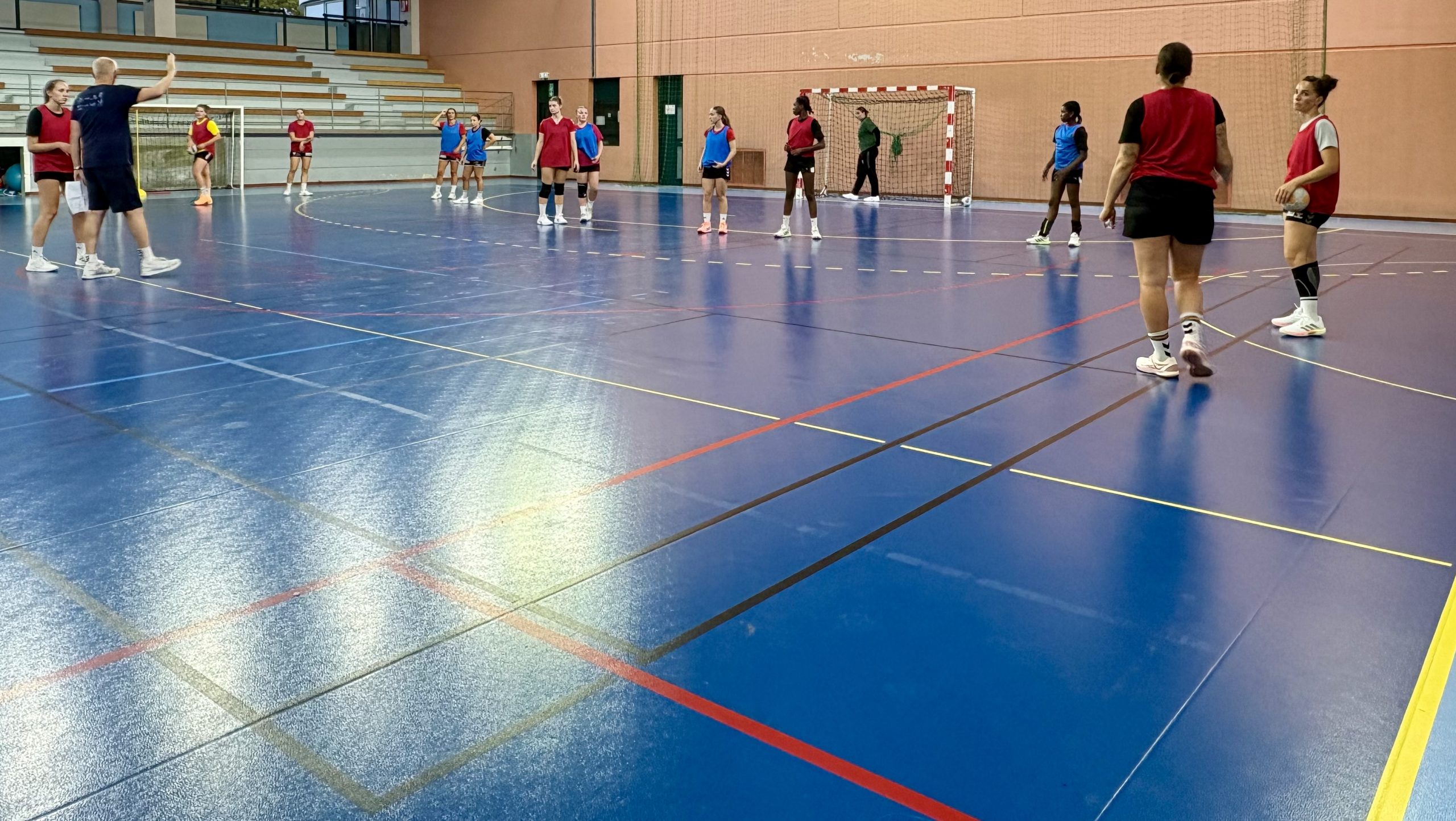 Reichstett handball sur handbelles.fr