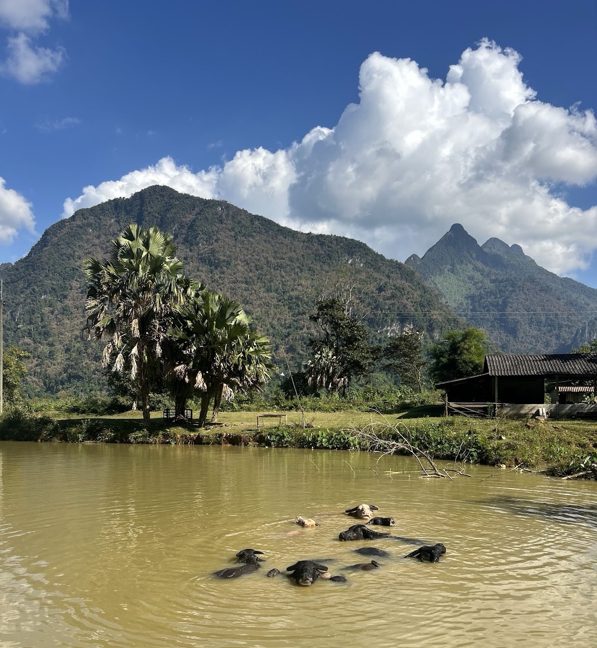 Voyage au Laos avec Axelle Florentin et Valentin Clauss sur handbelles.fr