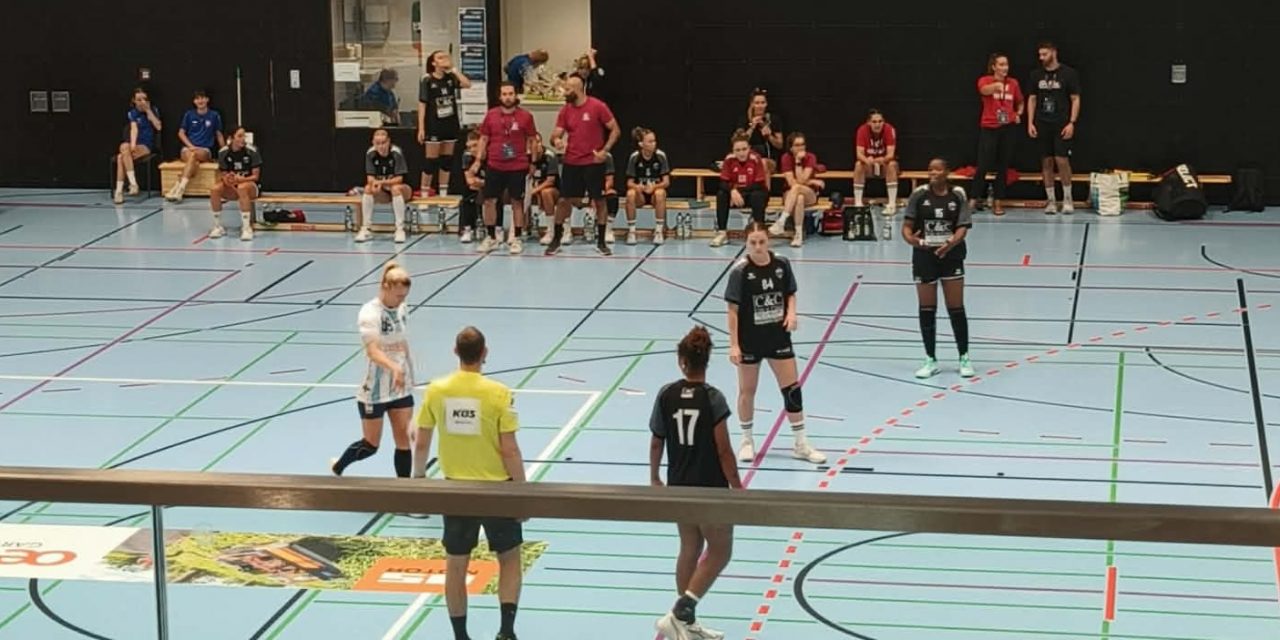 Le bilan des Piraths au tournoi de Neckarsulm