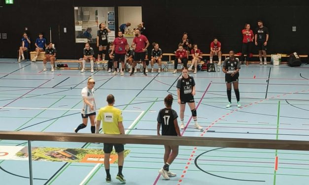 Le bilan des Piraths au tournoi de Neckarsulm