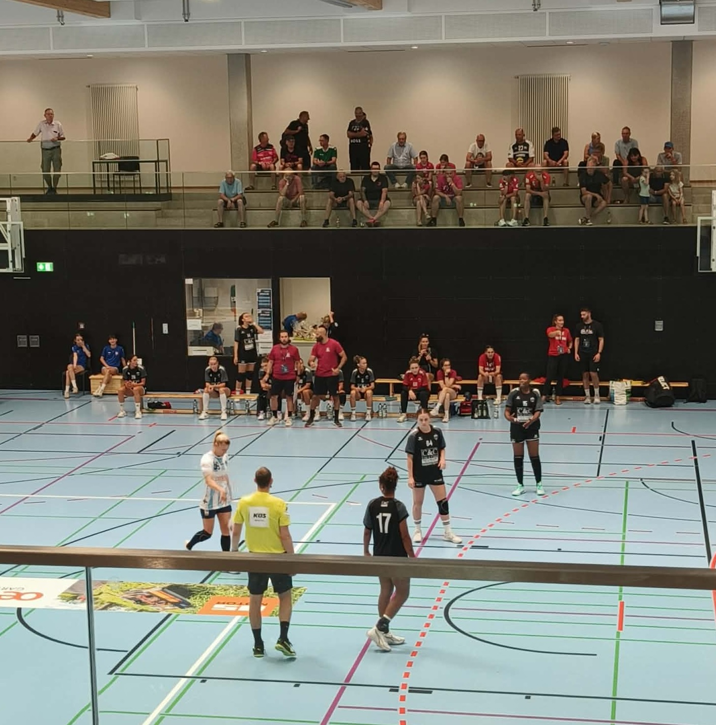 Piraths Strasbourg ATH handball sur handbelles.fr
