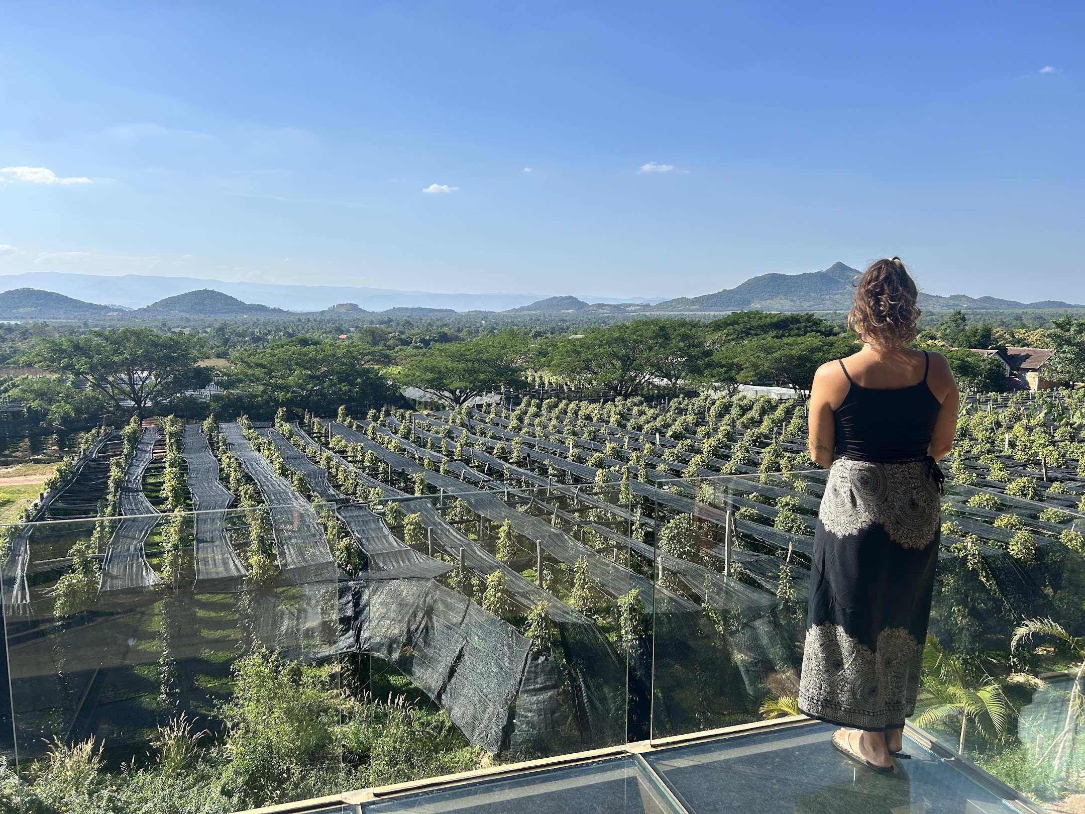 Voyage au Cambodge avec Axelle Florentin et Valentin Clauss sur handbelles.fr